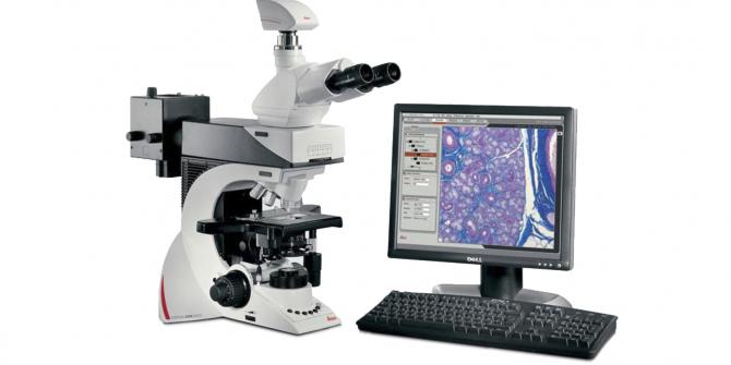 8_depistage_precoce_c_1.1