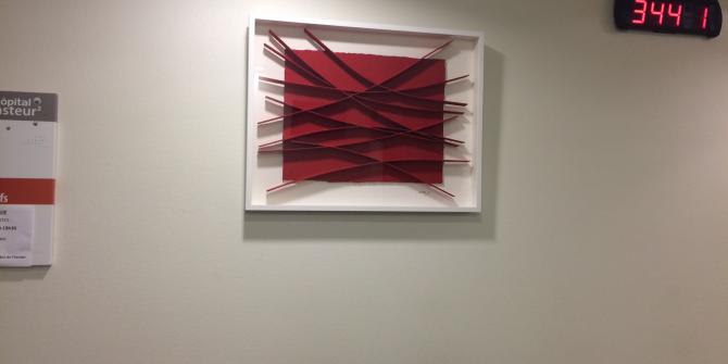 9._rene_galassi_-calicots_et_pigment_rouge